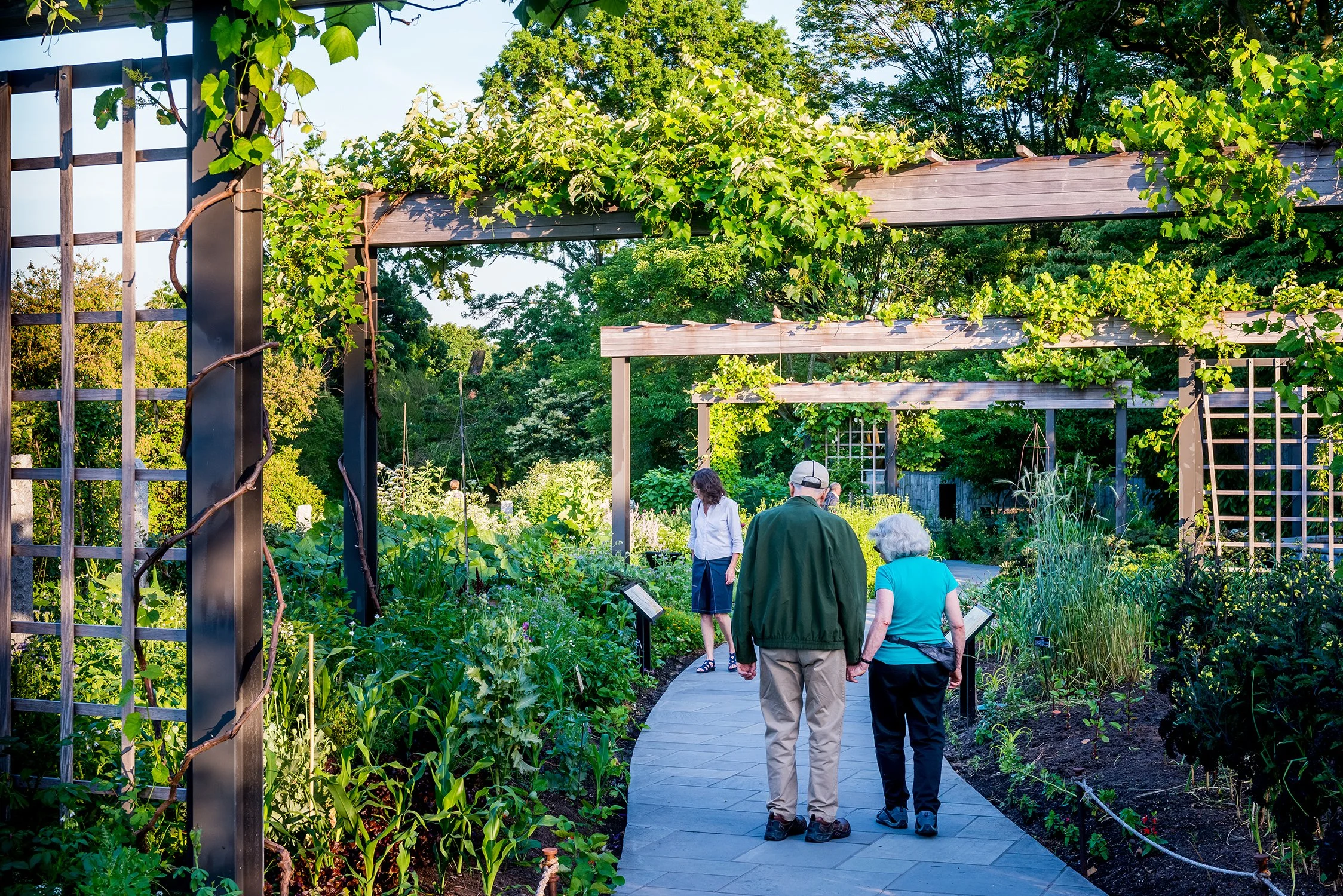 Brooklyn Botanic Garden's Herb and Vegetable Garden — Land Morphology